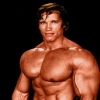 The Arnold Schwarzenegger...